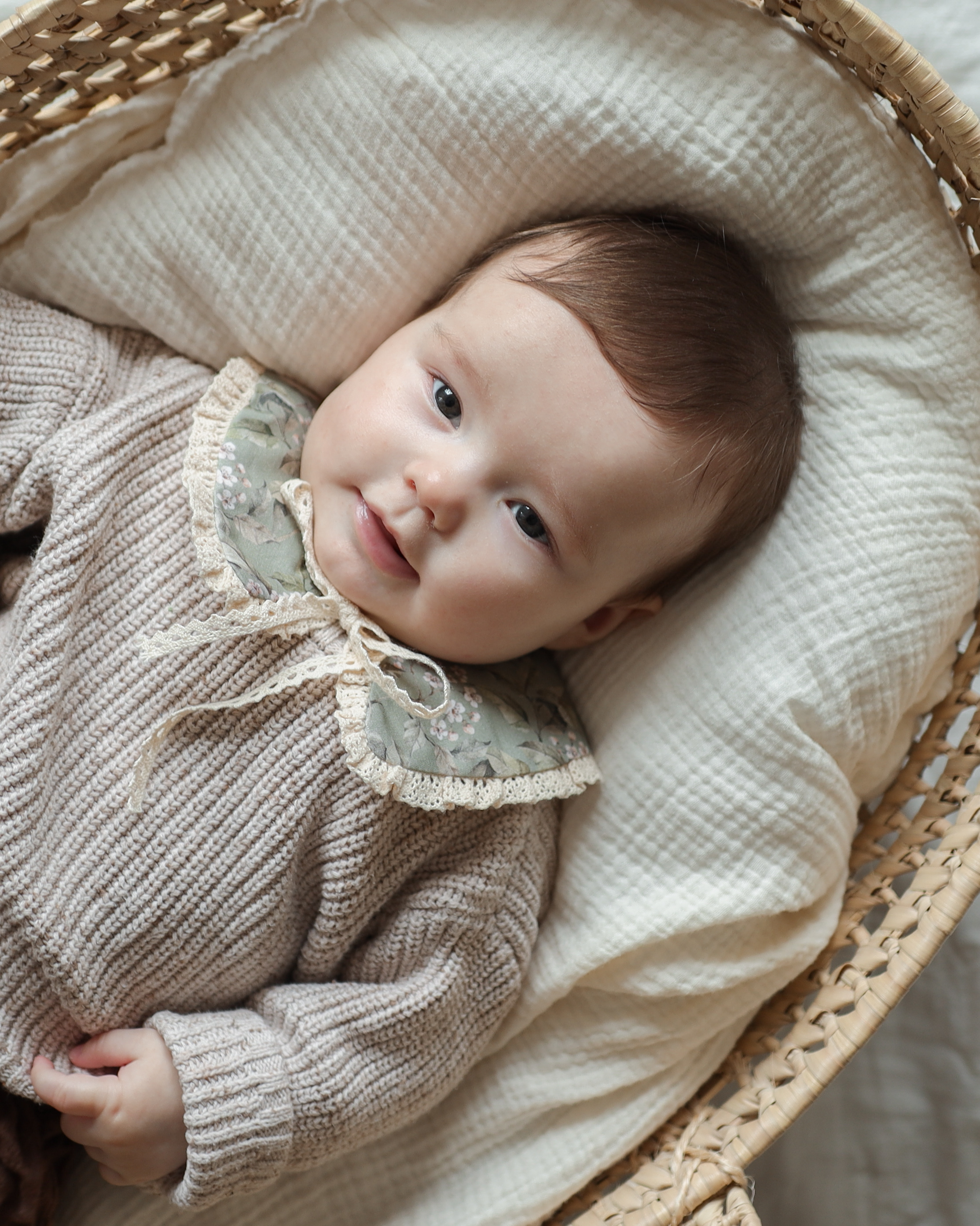 Kołnierzyk z koronką dla dziecka bawełniany Hania wróbelki oliwka