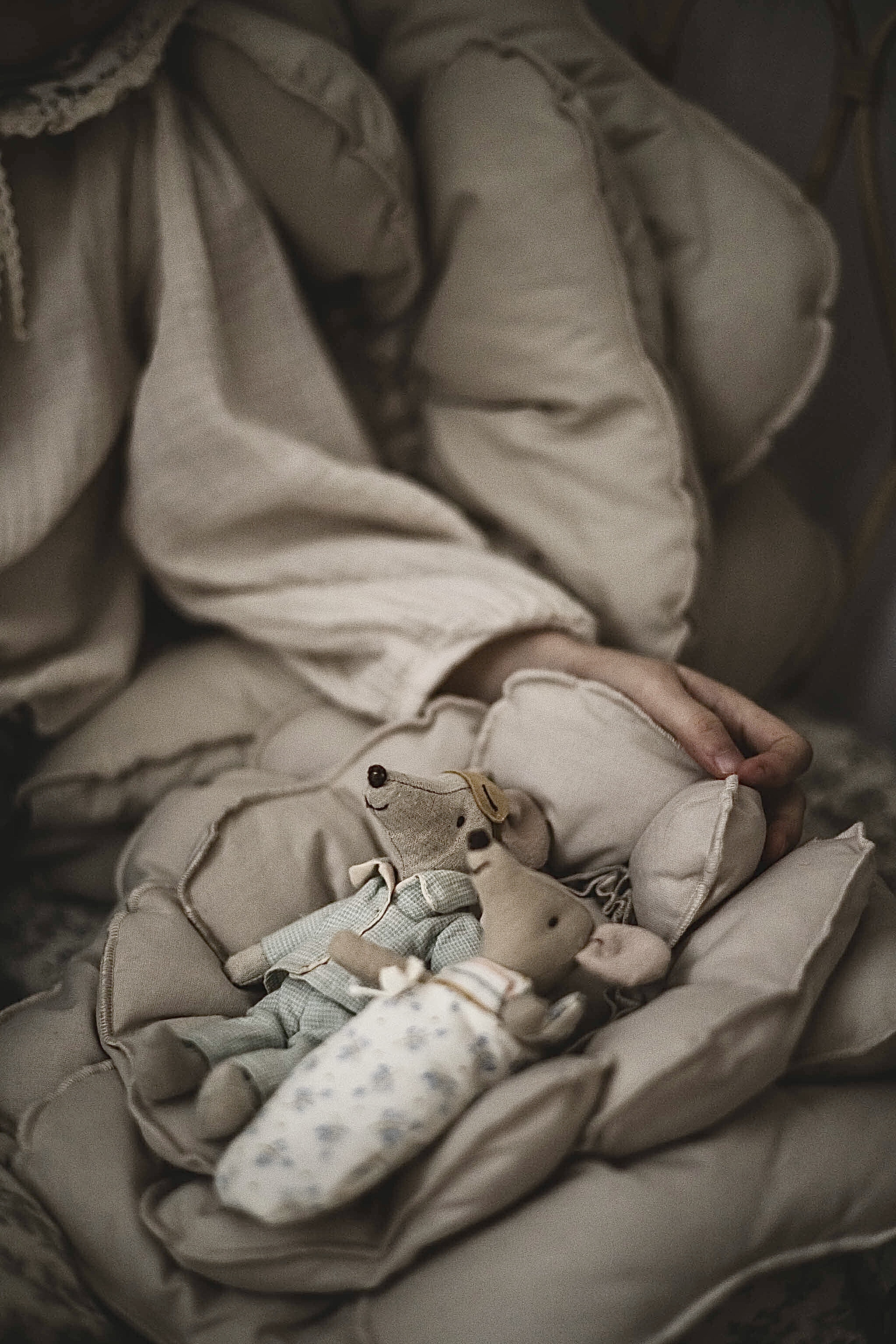 Poduszka dekoracyjna kwiat natural rozmiar 30