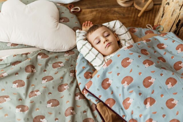 Śpiworek pościel 3w1 zestaw bawełniany premium jeżyki zielone junior